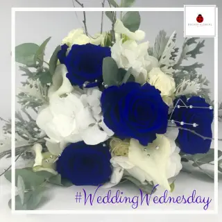 <br />
<b>Warning</b>:  Undefined variable $ImageTitle in <b>D:\Sites\4. Production\Booker Weddings\Views\Blog\BlogListing.php</b> on line <b>11</b><br />
